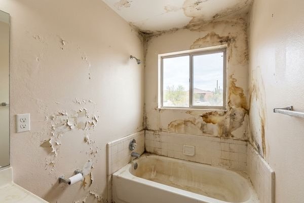 Bathroom with peeling paint